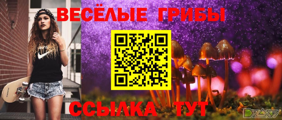 Мытищи  Галлюциногенные грибы GOLDEN TEACHER  как найти закладки  Вход с VPN 