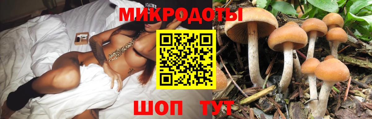 Псилоцибиновые грибы Cubensis Мытищи